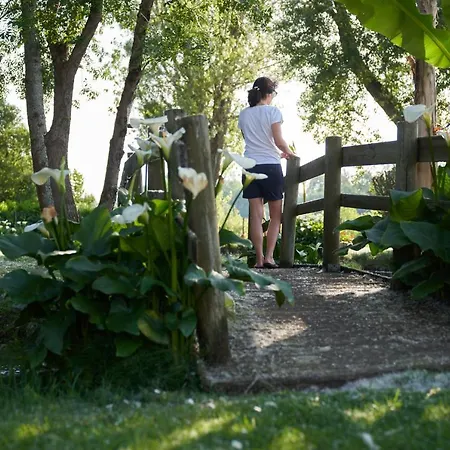Clos Bernon Maison d'hôtes Libourne