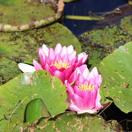 Maison d'hôtes Clos Bernon 4*