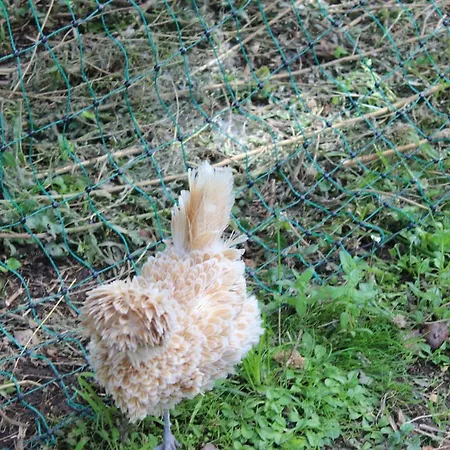 Clos Bernon 4* Libourne