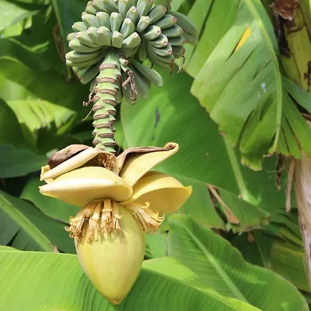 Clos Bernon Maison d'hôtes 4*