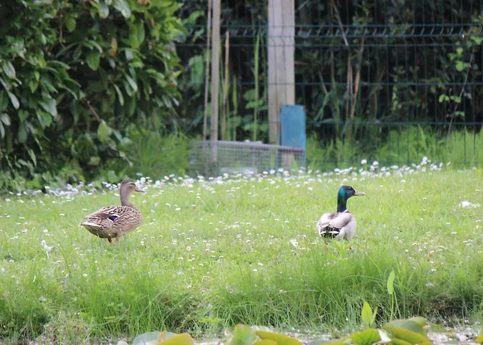 Clos Bernon 4* リブルヌ