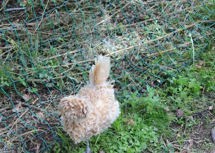 Clos Bernon 4* Libourne