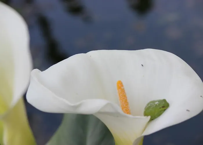 Clos Bernon Pensionat Libourne