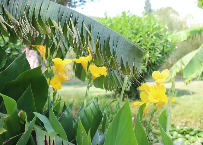 ゲストハウス Clos Bernon リブルヌ