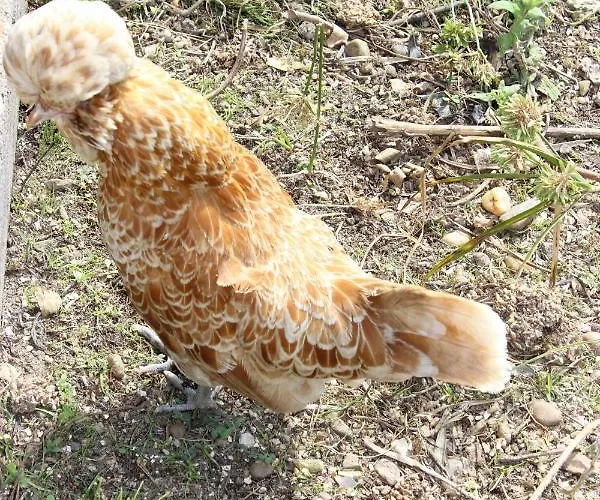 Gæstehus Clos Bernon