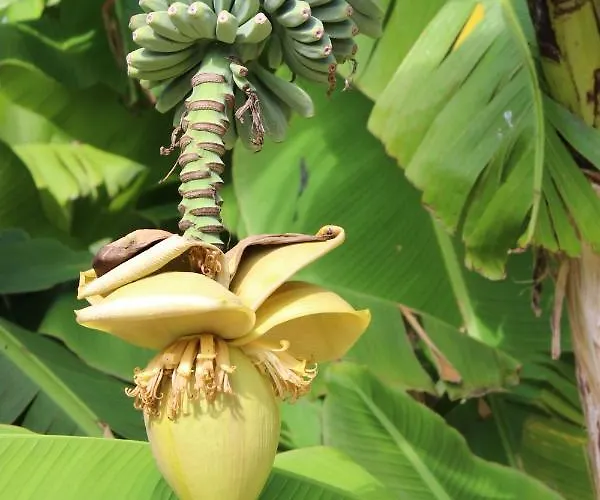 Clos Bernon Pensionat 4*